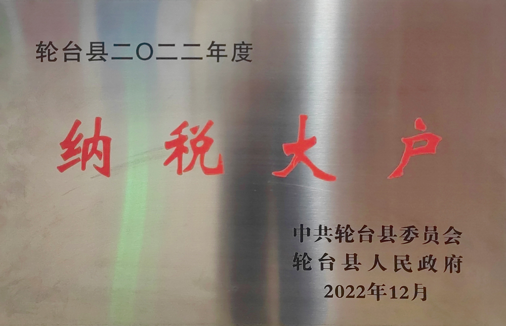 輪臺縣2022年度納稅大戶